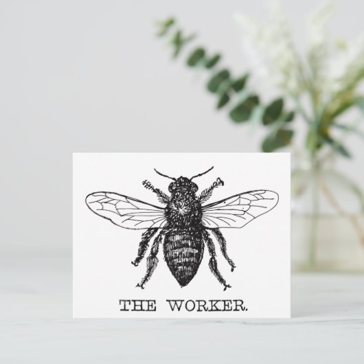 Bee Worker Honey Black Bumblebee Postkarte (Stehend Vorderseite)