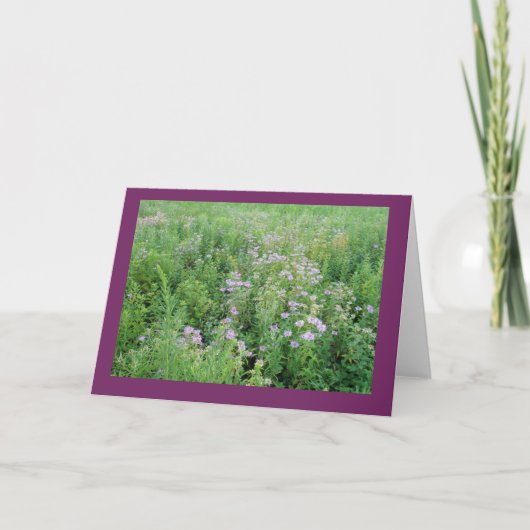 Beebalm im Prairie Garden Blank Note Card Karte (Vorderseite)