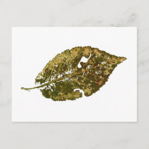 "Beech #2" Landstraßen Postkarte