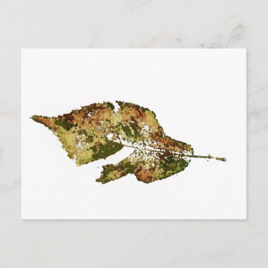 "Beech #4" Landstraßen Postkarte (Vorderseite)