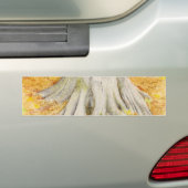 Beech Feet Autoaufkleber (Auf Auto)