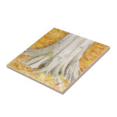 Beech Feet Fliese (Seite)