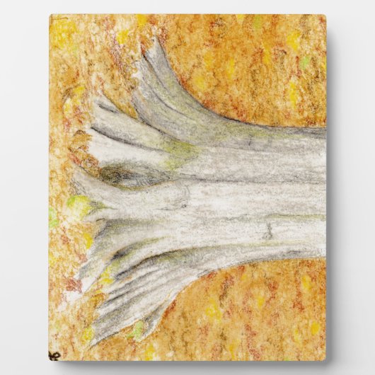 Beech Feet Fotoplatte (Vorderseite)