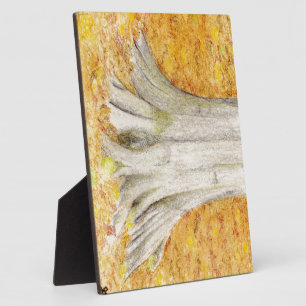 Beech Feet Fotoplatte