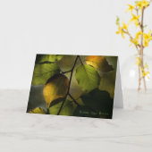 Beech Greeting Card Karte (Gelbe Blume)