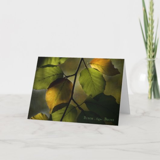 Beech Greeting Card Karte (Vorderseite)