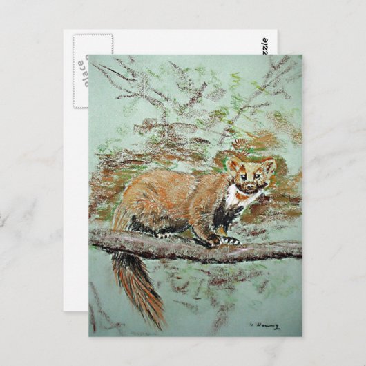 Beech Marten Postkarte (Vorne/Hinten)