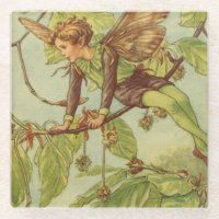 Beech Tree Fairy von Vision Studio