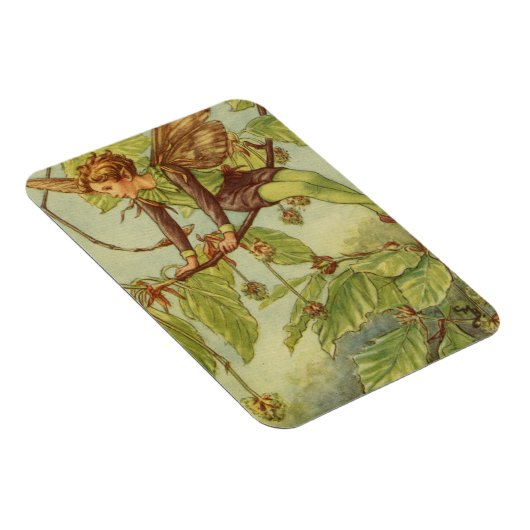 Beech Tree Fairy von Vision Studio Magnet (Rechte Seite)