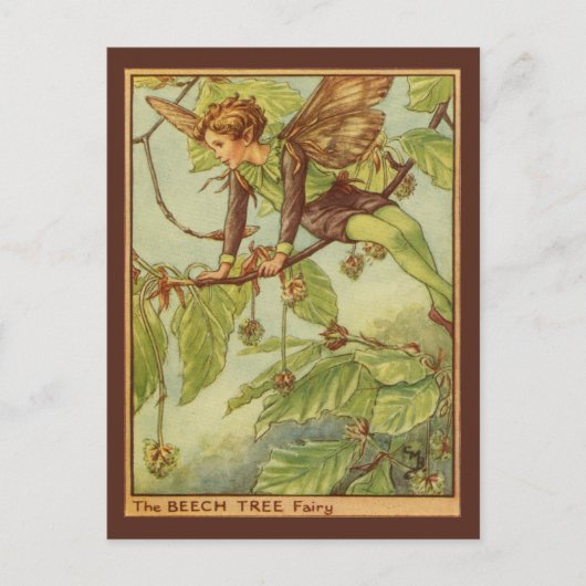 Beech Tree Fairy von Vision Studio Postkarte (Vorderseite)