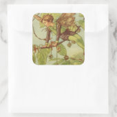 Beech Tree Fairy von Vision Studio Quadratischer Aufkleber (Tasche)