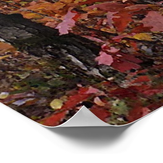 Beech Tree Forest Poster (Ecke)