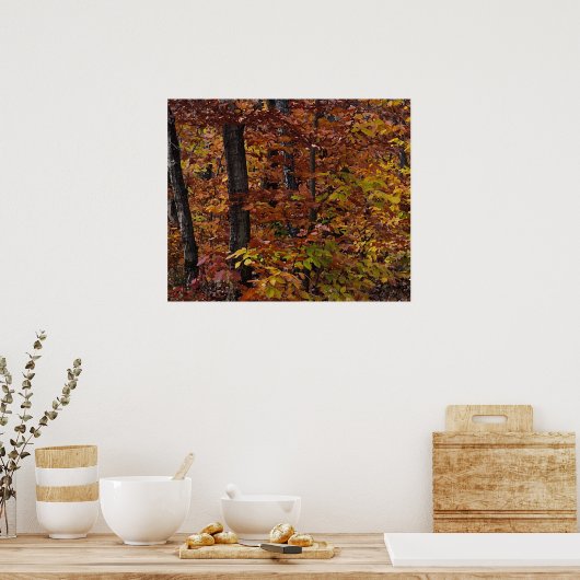 Beech Tree Forest Poster (Küche)