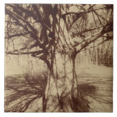Beech Tree (von Eugène Atget) Fliese (Vorderseite)