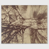 Beech Tree (von Eugène Atget) Geschenkpapier (Flach)