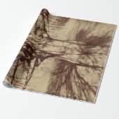 Beech Tree (von Eugène Atget) Geschenkpapier (Ungerollt)