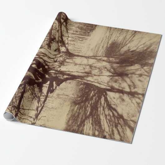 Beech Tree (von Eugène Atget) Geschenkpapier (Ungerollt)