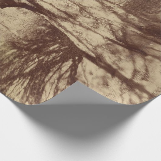 Beech Tree (von Eugène Atget) Geschenkpapier (Ecke)