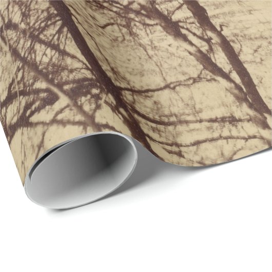 Beech Tree (von Eugène Atget) Geschenkpapier (Rolleneckpunkt)