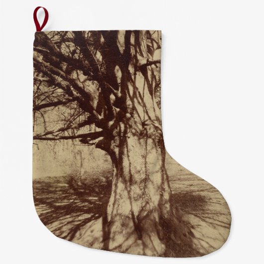 Beech Tree (von Eugène Atget) Großer Weihnachtsstrumpf (Vorderseite)