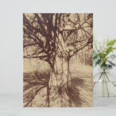 Beech Tree (von Eugène Atget) Karte (Stehend Vorderseite)