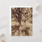 Beech Tree (von Eugène Atget) Karte (Vorderseite/Rückseite Beispiel)