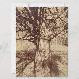 Beech Tree (von Eugène Atget) Karte