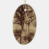 Beech Tree (von Eugène Atget) Keramik Ornament (Rechts)