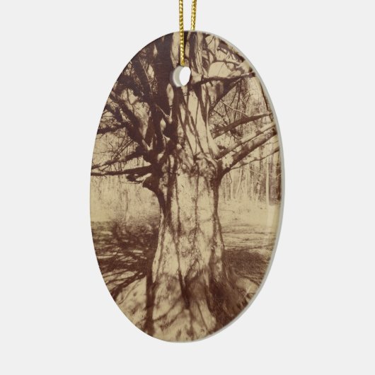 Beech Tree (von Eugène Atget) Keramik Ornament (Links)