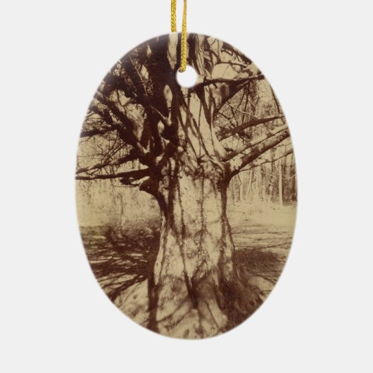 Beech Tree (von Eugène Atget) Keramik Ornament (Hinten)