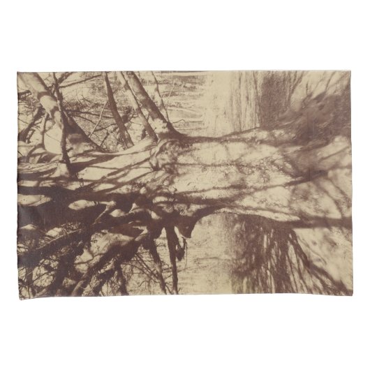 Beech Tree (von Eugène Atget) Kissenbezug (Vorderseite-Rechts)