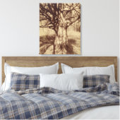 Beech Tree (von Eugène Atget) Leinwanddruck (Insitu (Schlafzimmer))