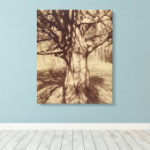 Beech Tree (von Eugène Atget) Leinwanddruck (Insitu (Holzboden))