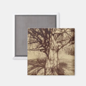 Beech Tree (von Eugène Atget) Magnet (Vorderseite/Rückseite)