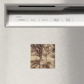 Beech Tree (von Eugène Atget) Magnet (In Situ (Geschirrspüler))