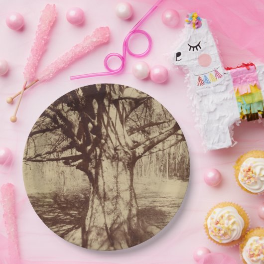 Beech Tree (von Eugène Atget) Pappteller (Party)