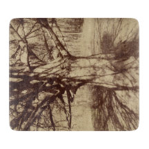 Beech Tree (von Eugène Atget)
