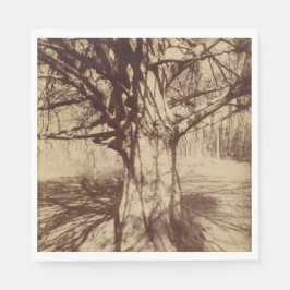 Beech Tree (von Eugène Atget) Serviette