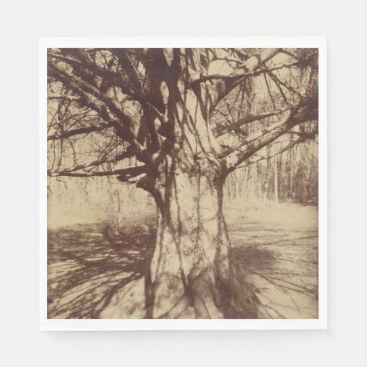 Beech Tree (von Eugène Atget) Serviette (Vorderseite)