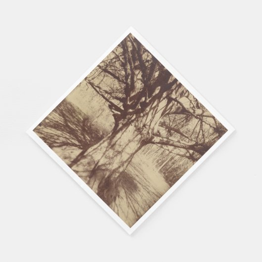 Beech Tree (von Eugène Atget) Serviette (Ecke)