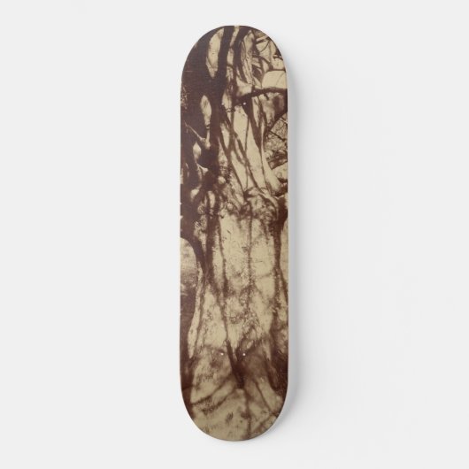 Beech Tree (von Eugène Atget) Skateboard (Vorderseite)
