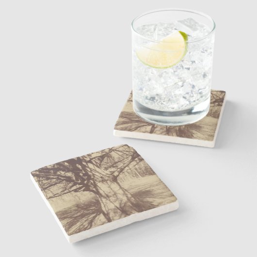 Beech Tree (von Eugène Atget) Steinuntersetzer (Seitenansicht)