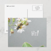 Beefly, Hi! Postkarte (Vorne/Hinten)