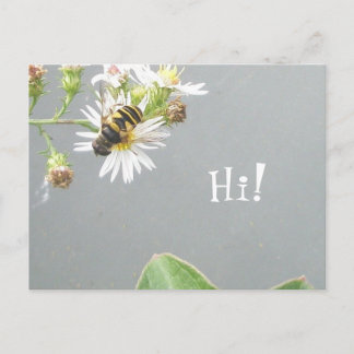 Beefly, Hi! Postkarte