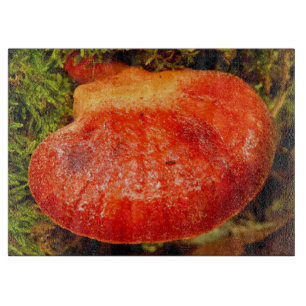 Beefsteak Fungus Glass Chopping Board Schneidebrett