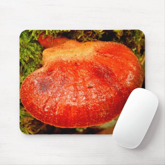 Beefsteak-Pilz-Mäusematte Mousepad (Mit Mouse)