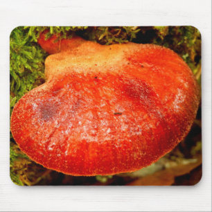 Beefsteak-Pilz-Mäusematte Mousepad