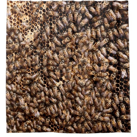 BEEHIVE DUSCHVORHANG (Vorderseite)