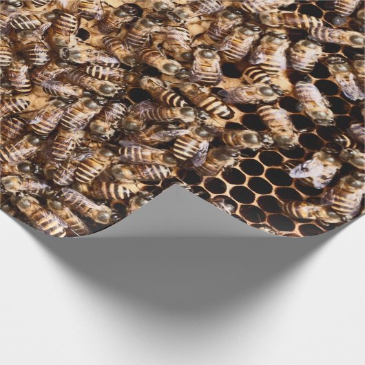 BEEHIVE GESCHENKPAPIER (Ecke)