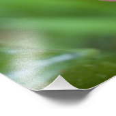 Beehive Ginger, Spezial Zingiber), Fotodruck (Ecke)